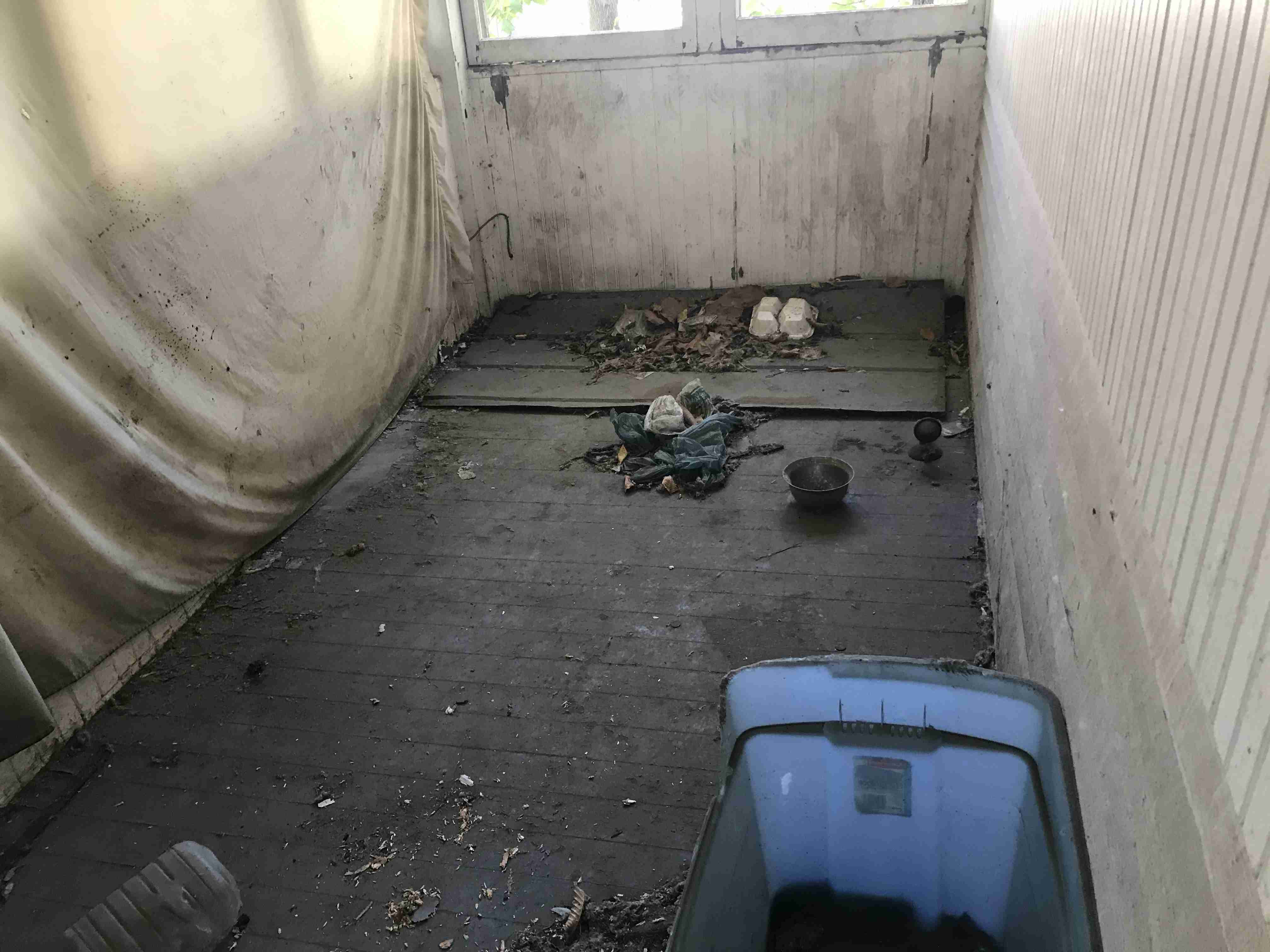 Photo Oct 13, 11 40 06 AM.jpg